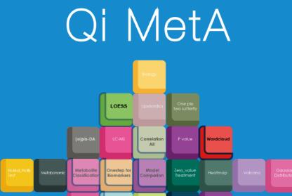 Qi MetA软件特色介绍